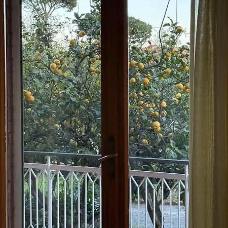 Lemon House Formia *